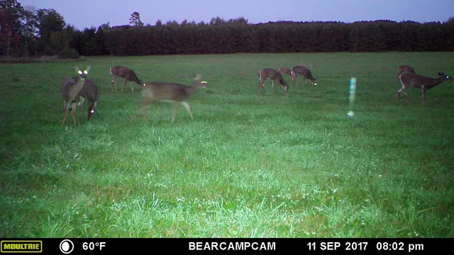 $259,900 | Tbd Tbd Sage Drive Northwest, Backus, MN 56435