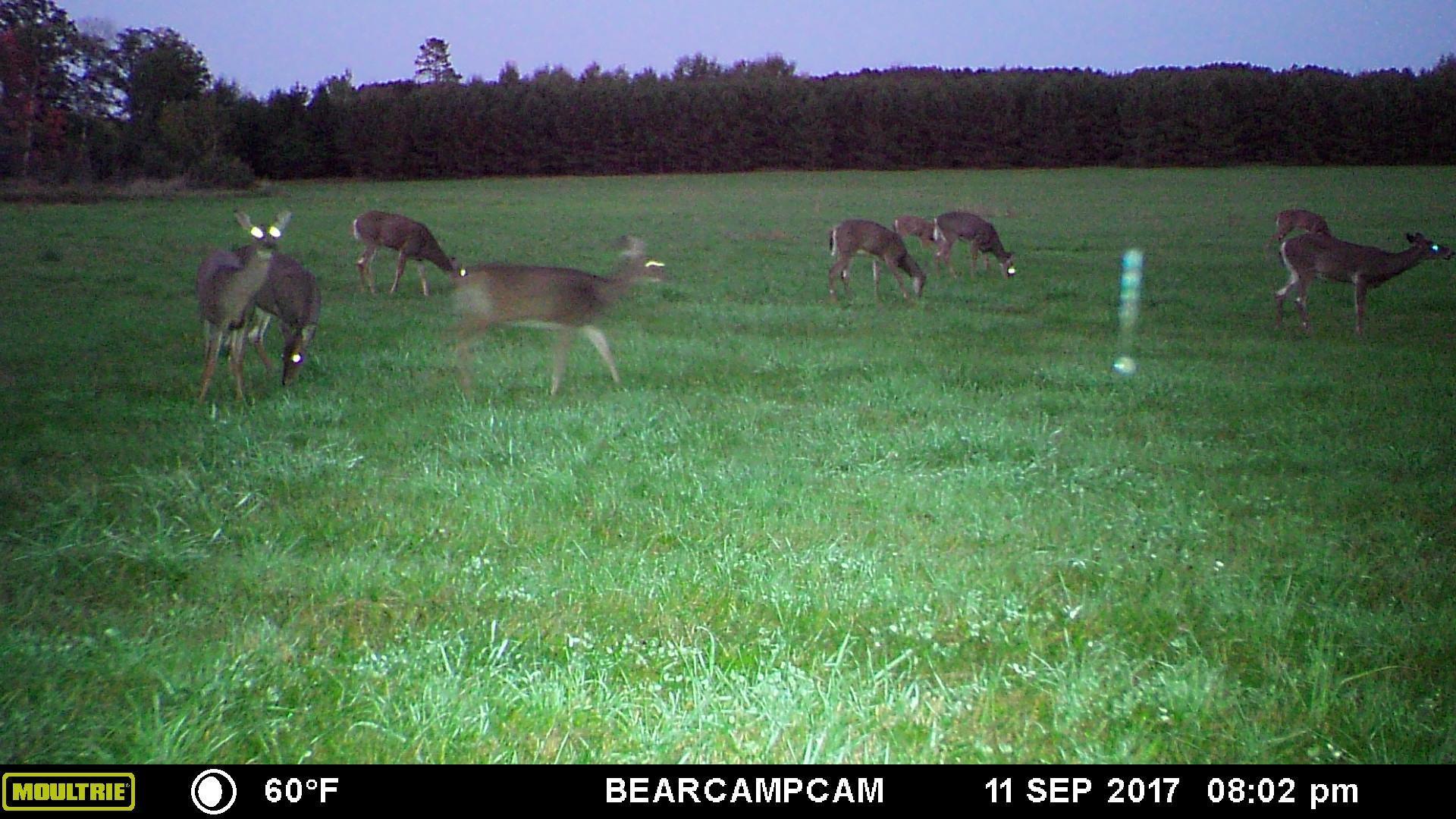 Tbd Tbd Sage Drive Northwest Backus, MN 56435 - Photo 7 of 15