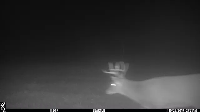 $259,900 | Tbd Tbd Sage Drive Northwest, Backus, MN 56435