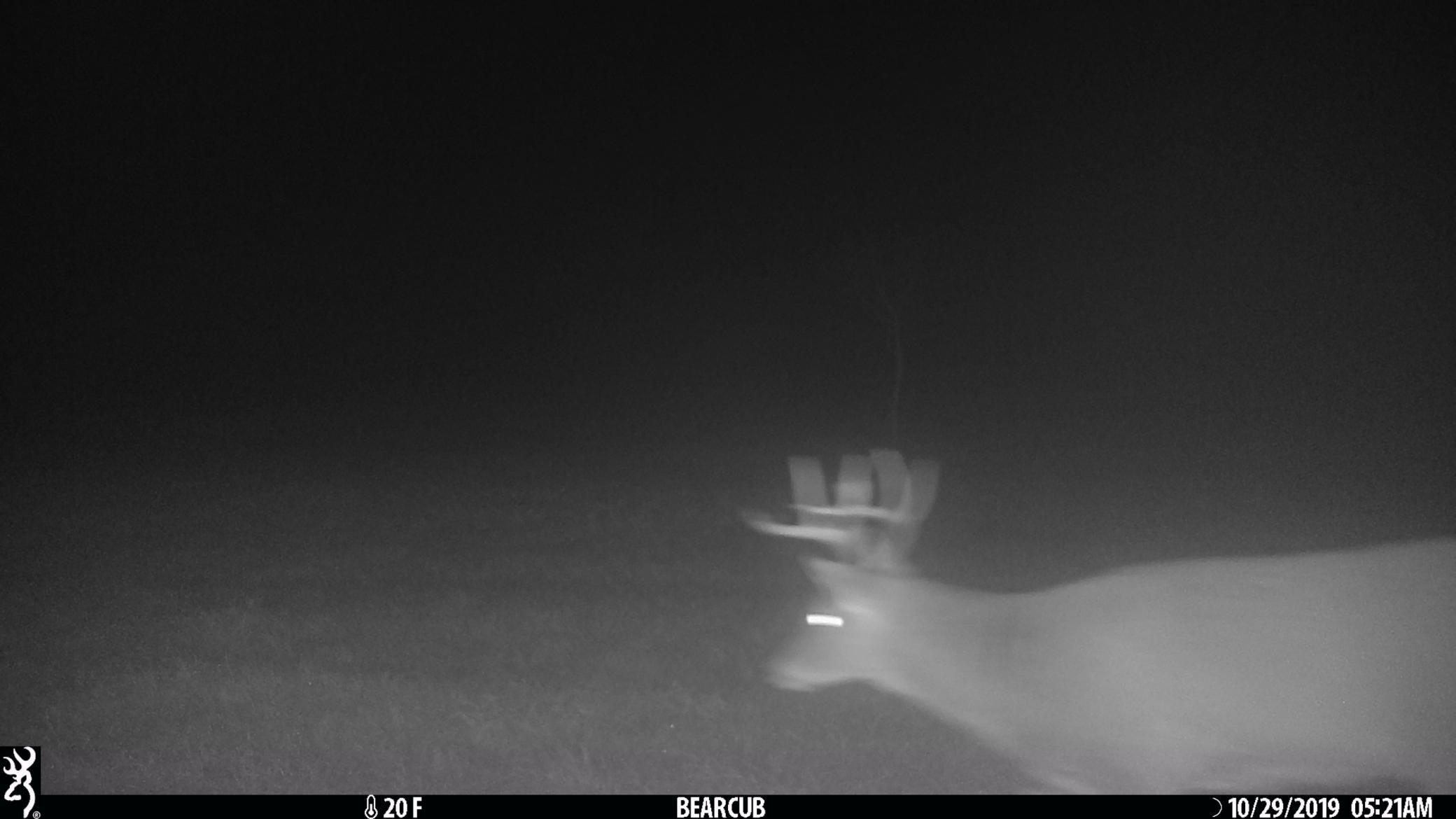 Tbd Tbd Sage Drive Northwest Backus, MN 56435 - Photo 8 of 15