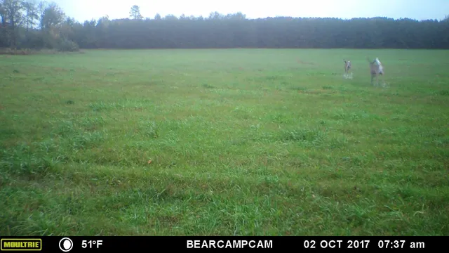 $259,900 | Tbd Tbd Sage Drive Northwest, Backus, MN 56435