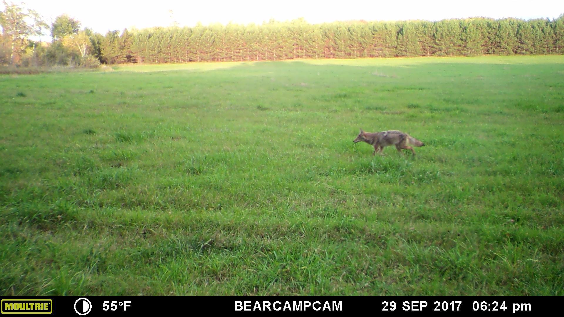 Tbd Tbd Sage Drive Northwest Backus, MN 56435 - Photo 10 of 15