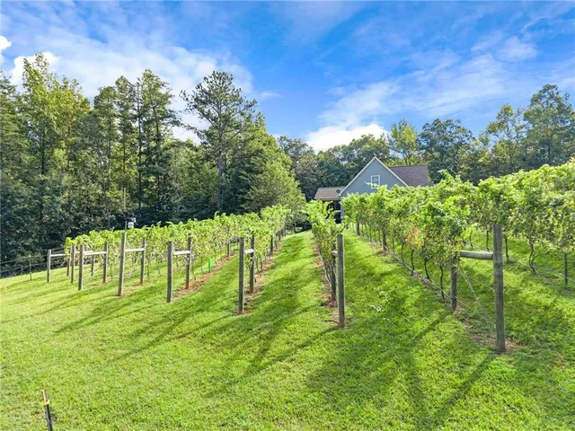 $2,390,000 | 299 Happy Trails Way, Jasper, GA 30143