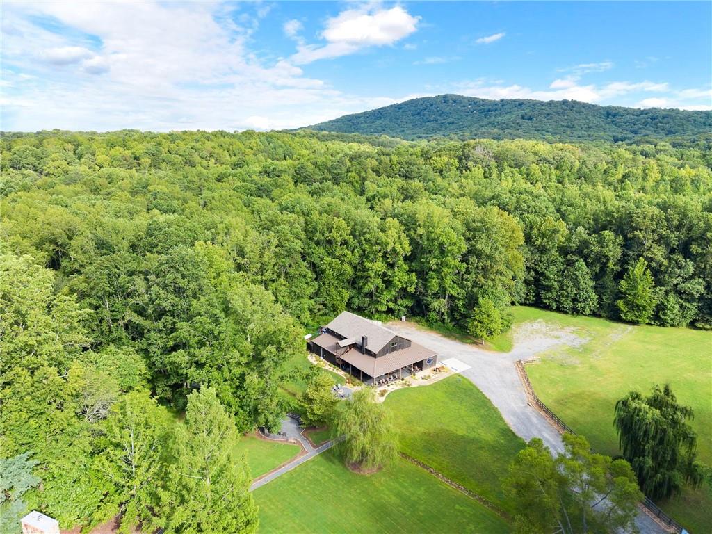 299 Happy Trails Way Jasper, GA 30143 - Photo 67 of 83