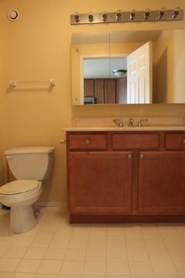 Undisclosed Address Chicago, IL 60654 - Photo 7 of 10 a bathroom with a sink and a toilet