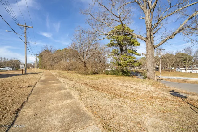 a view of yard with trees