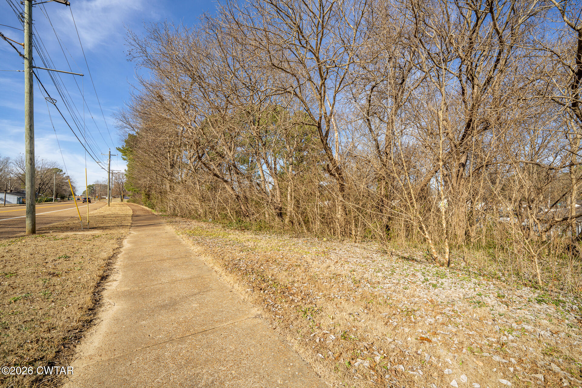 3036 North Main Street Milan, TN 38358 - Photo 7 of 10 a view of yard