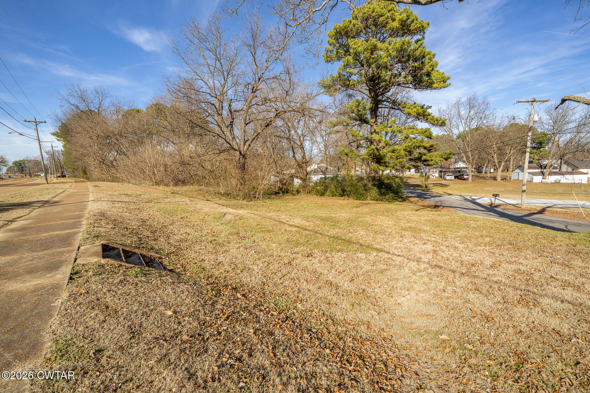 3036 North Main Street Milan, TN 38358 - Photo 8 of 10 a street view with large trees