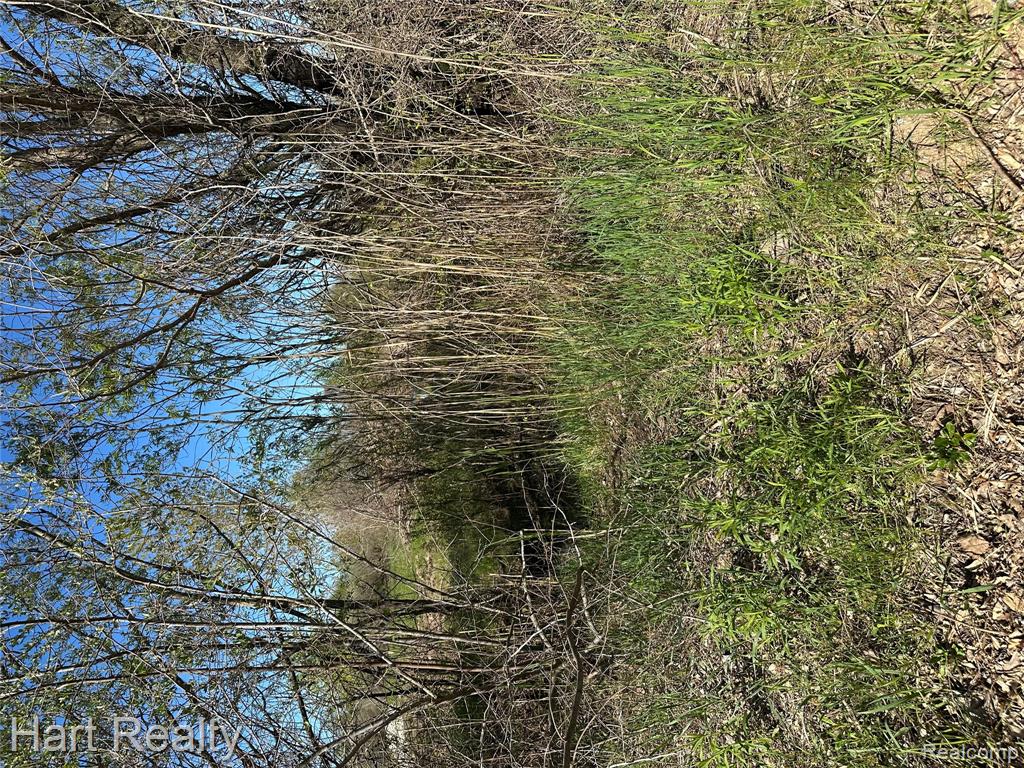13 Single Tree Circle Dryden, MI 48428 - Photo 4 of 10