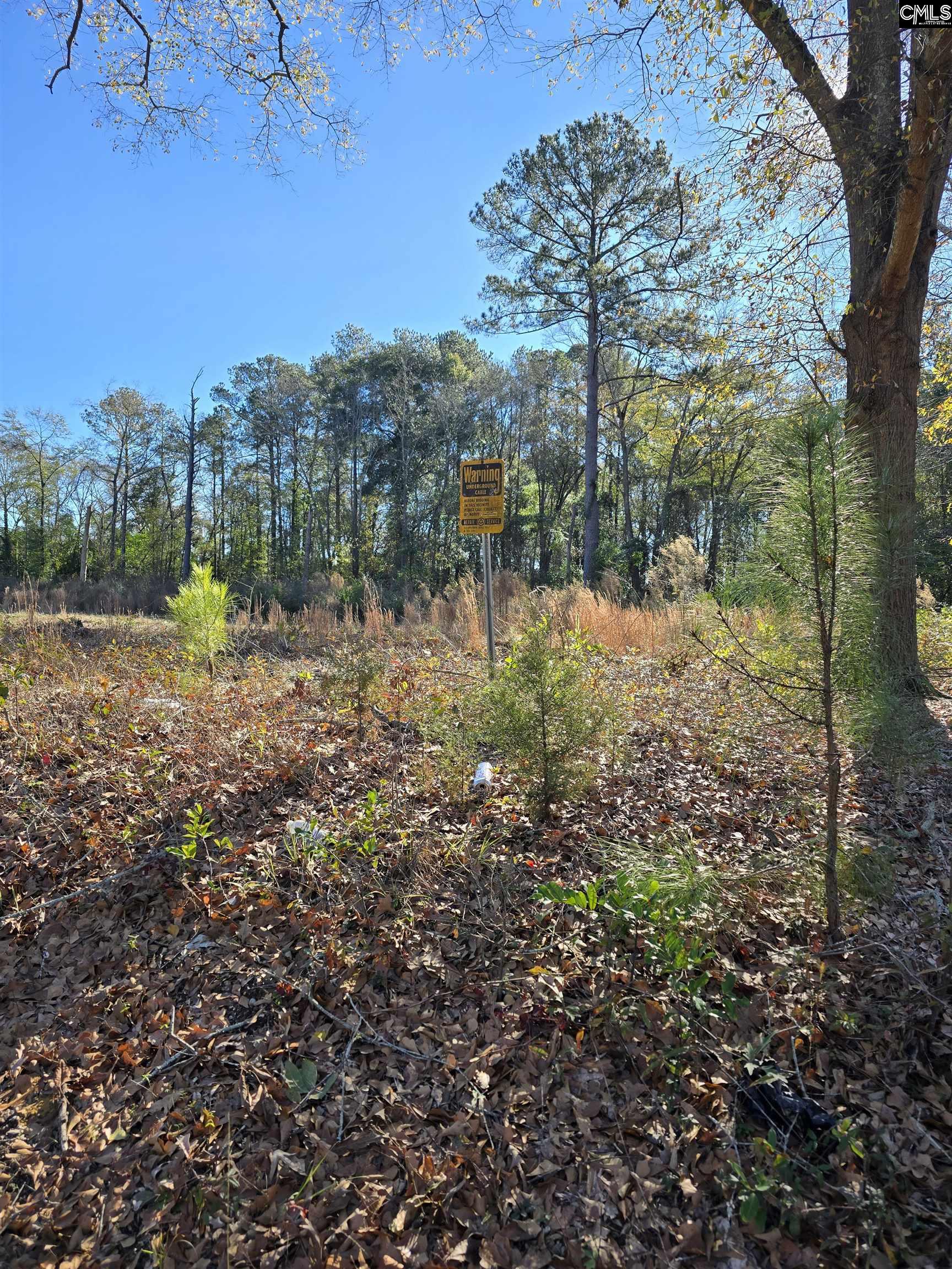 Lot 7-8 Popular Street Cayce, SC 29033 - Photo 2 of 12