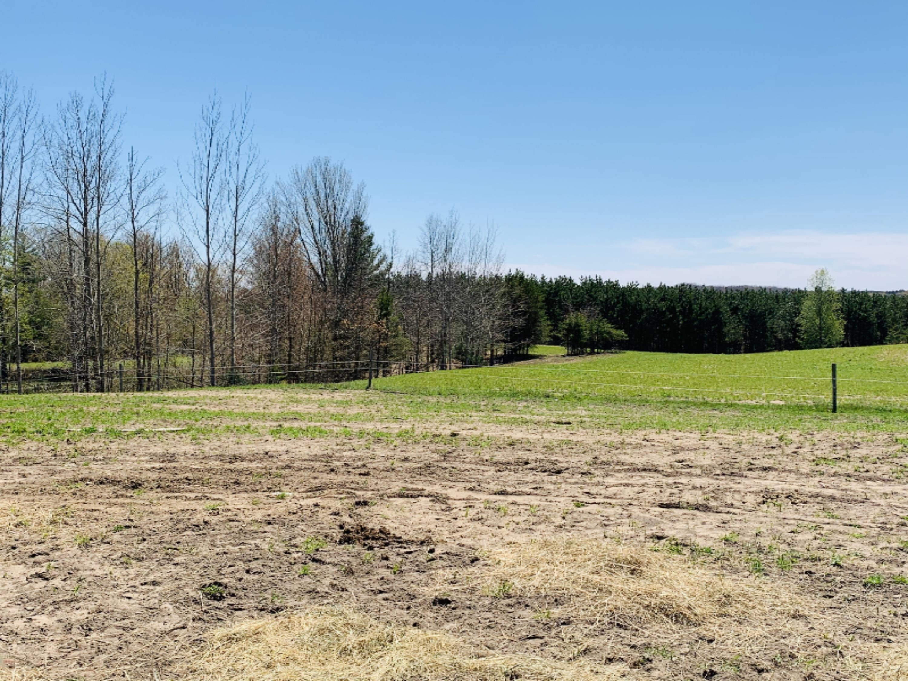 8208 East 14 Mile Road Paris, MI 49338 - Photo 19 of 34 field