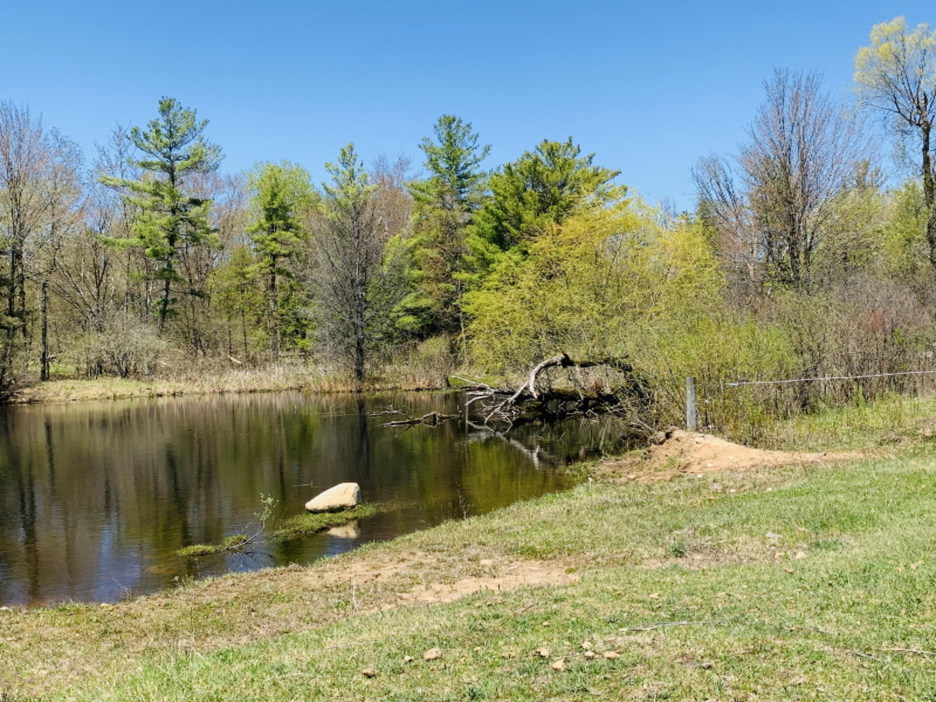 8208 East 14 Mile Road Paris, MI 49338 - Photo 30 of 34 pond1