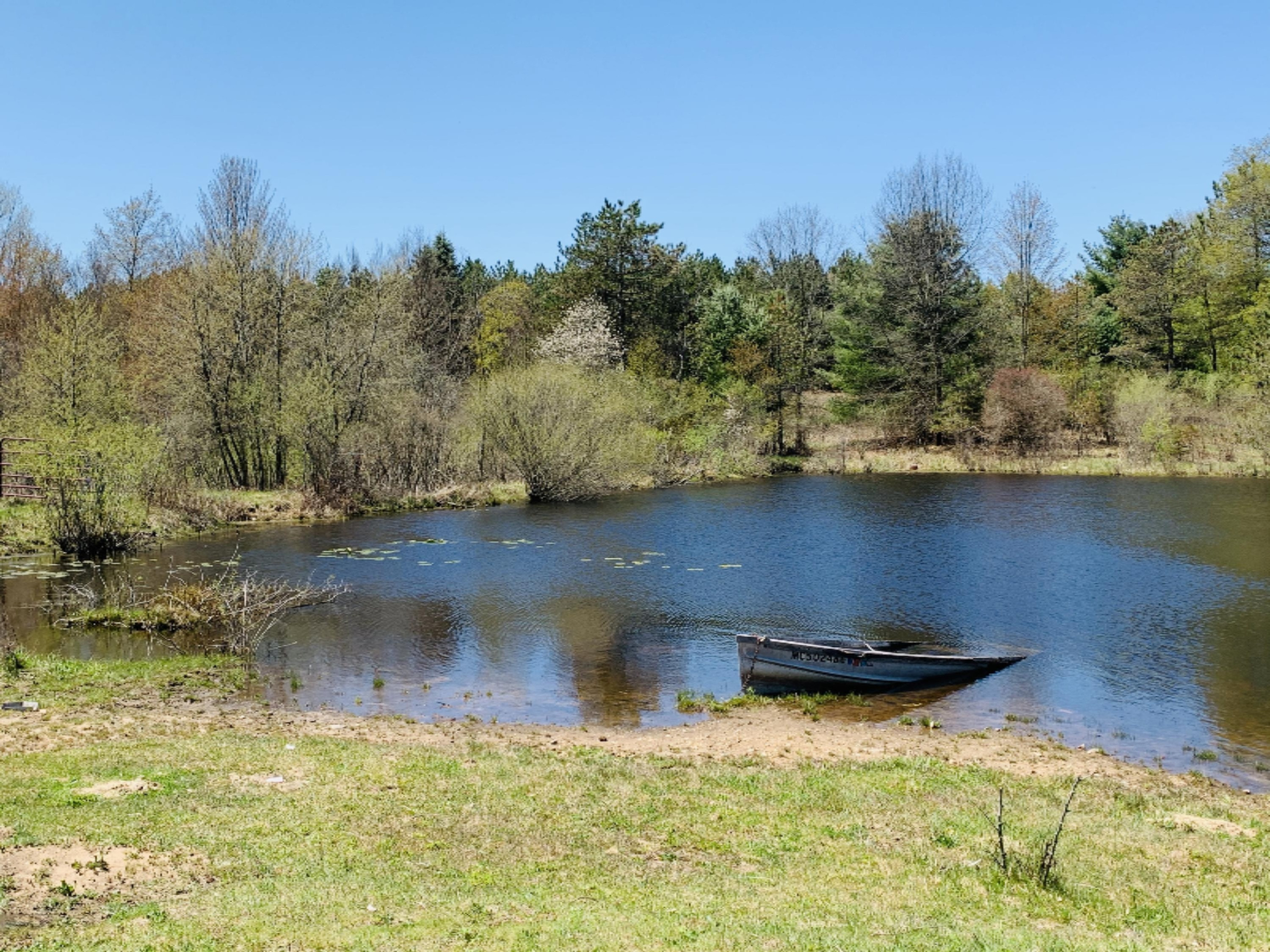 8208 East 14 Mile Road Paris, MI 49338 - Photo 31 of 34 pond