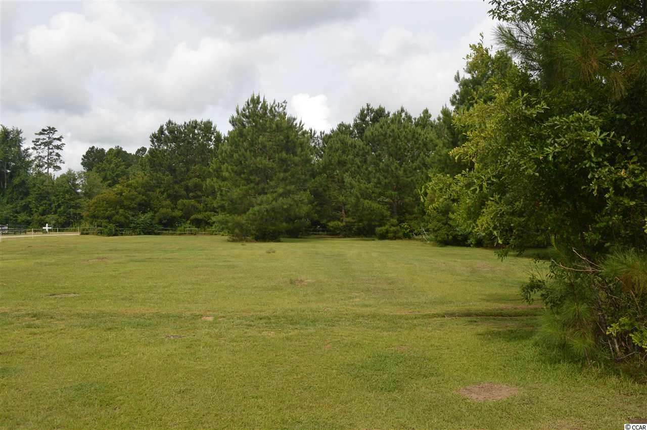 2891 Timrod Road Conway, SC 29527 - Photo 2 of 22