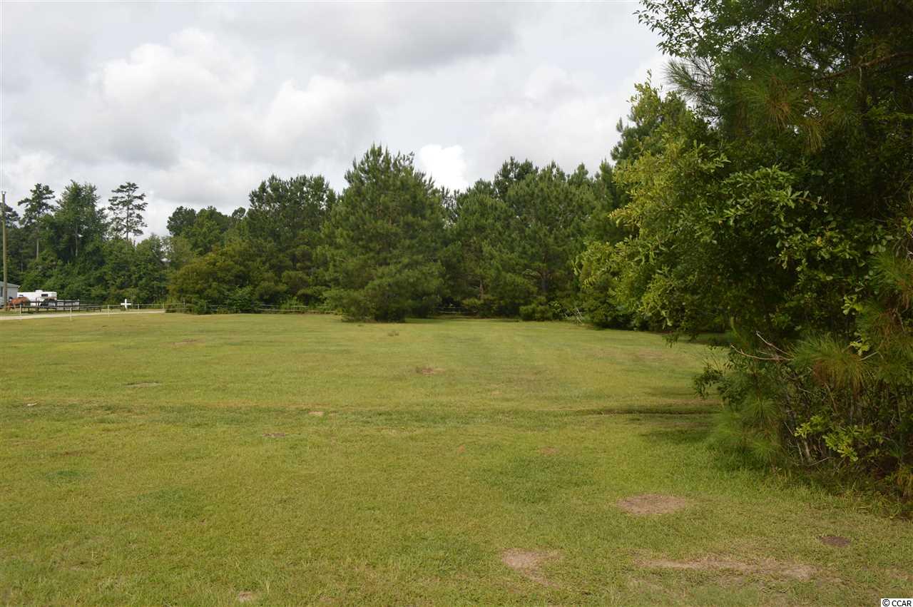 2891 Timrod Road Conway, SC 29527 - Photo 3 of 22