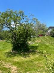309 Windsor Road Augusta, ME 04330 - Photo 28 of 47 8