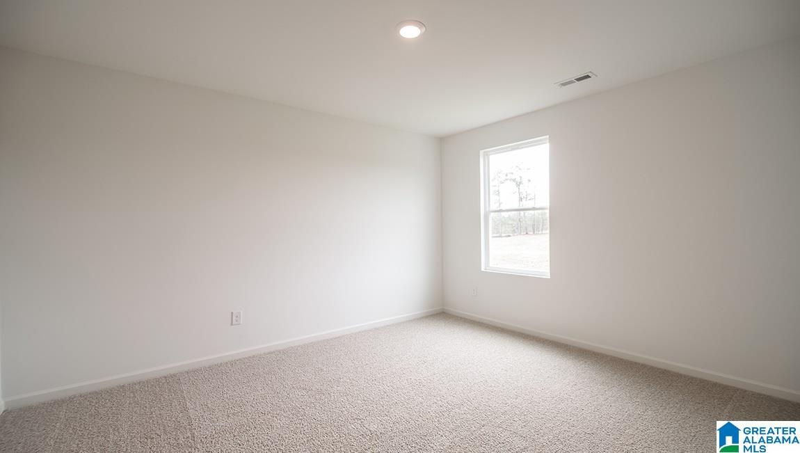 22724 Duffee Lane McCalla, AL 35111 - Photo 22 of 25