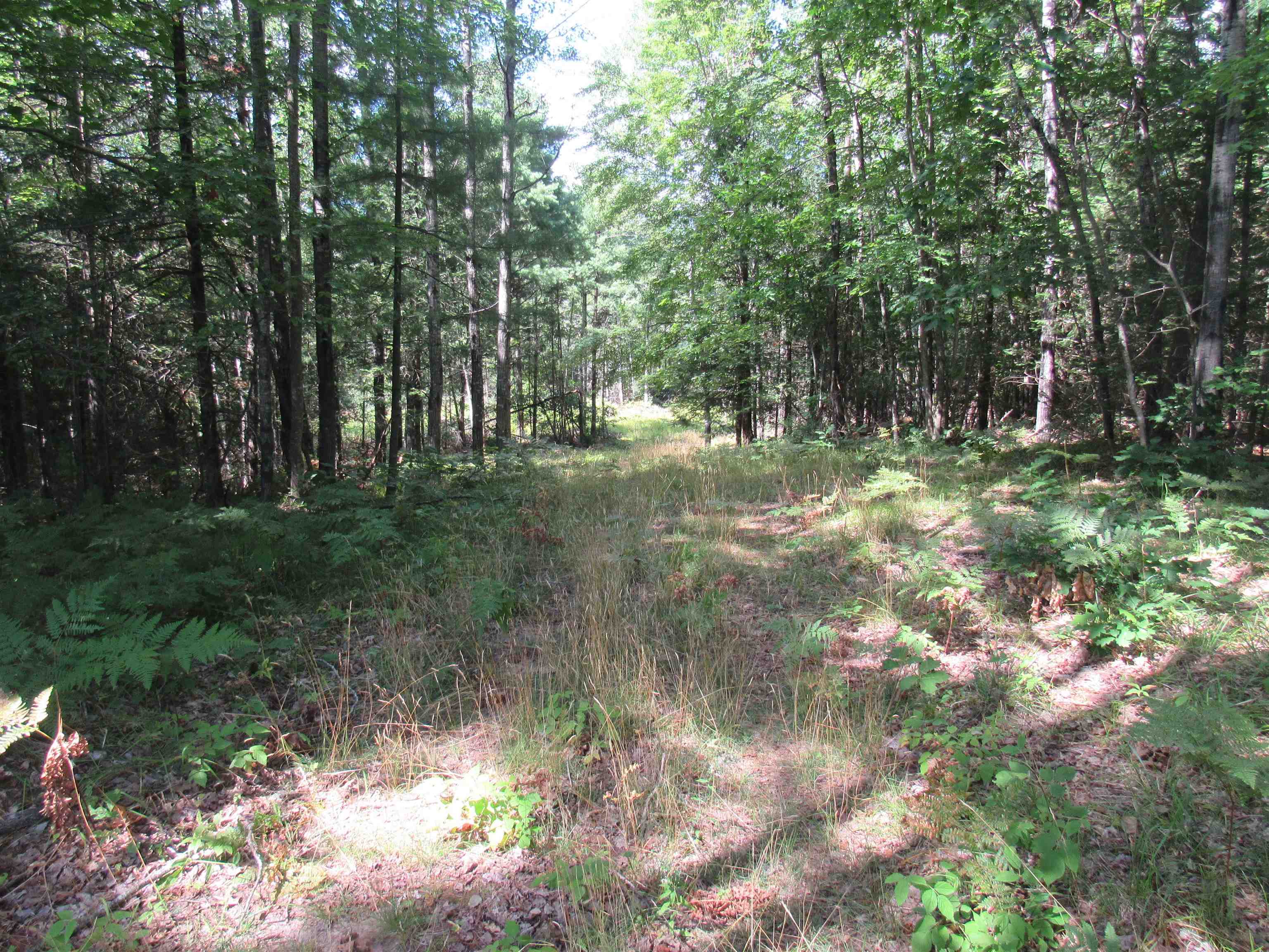 W8598 Beecher Lake Road Pembine, WI 54156 - Photo 52 of 66 Gallery Image 52