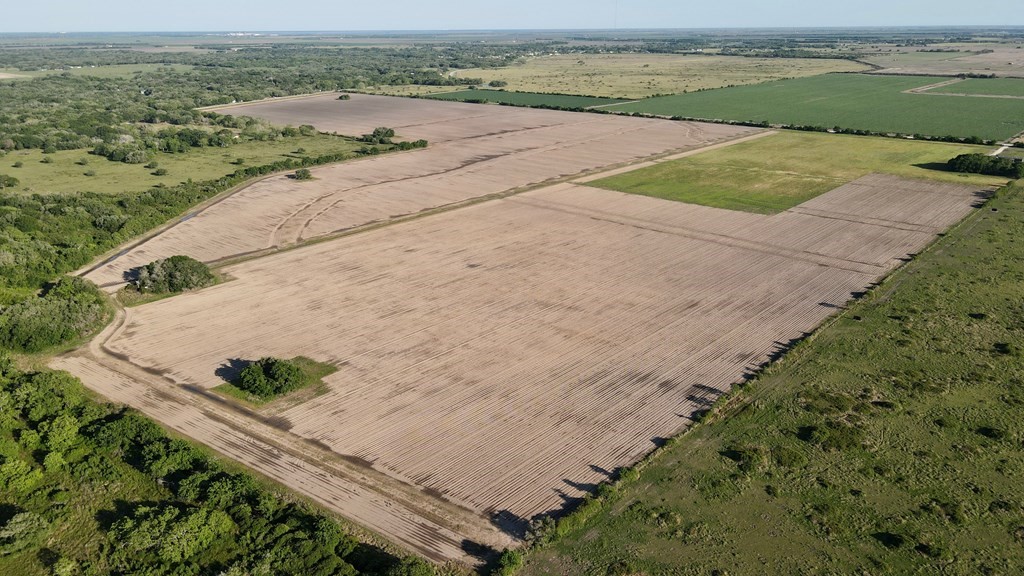 0 Cr 343 Road Palacios, TX 77465 - Photo 4 of 12