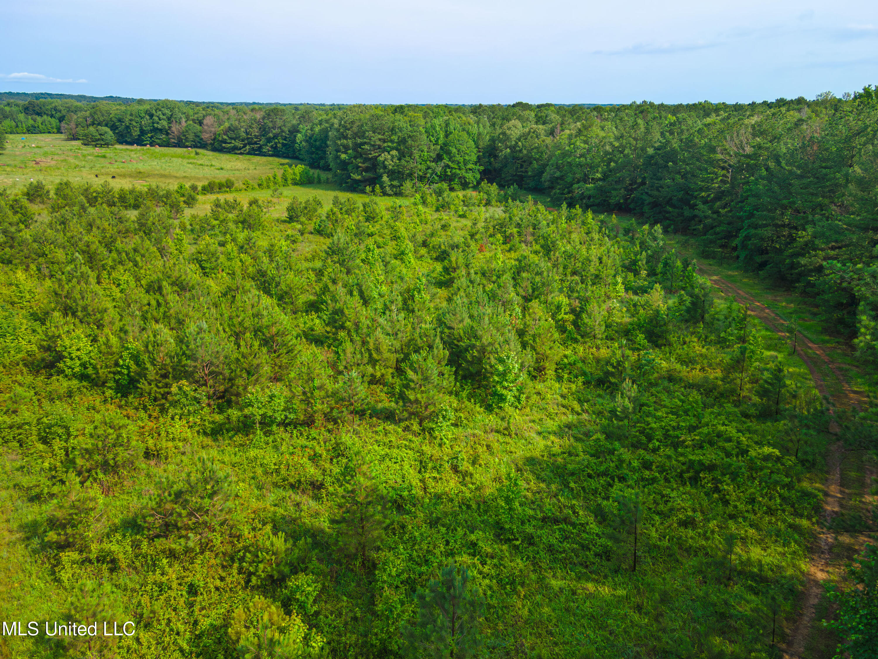Cooper Road Camden, MS 39045 - Photo 21 of 29 DJI_0824-Enhanced-NR