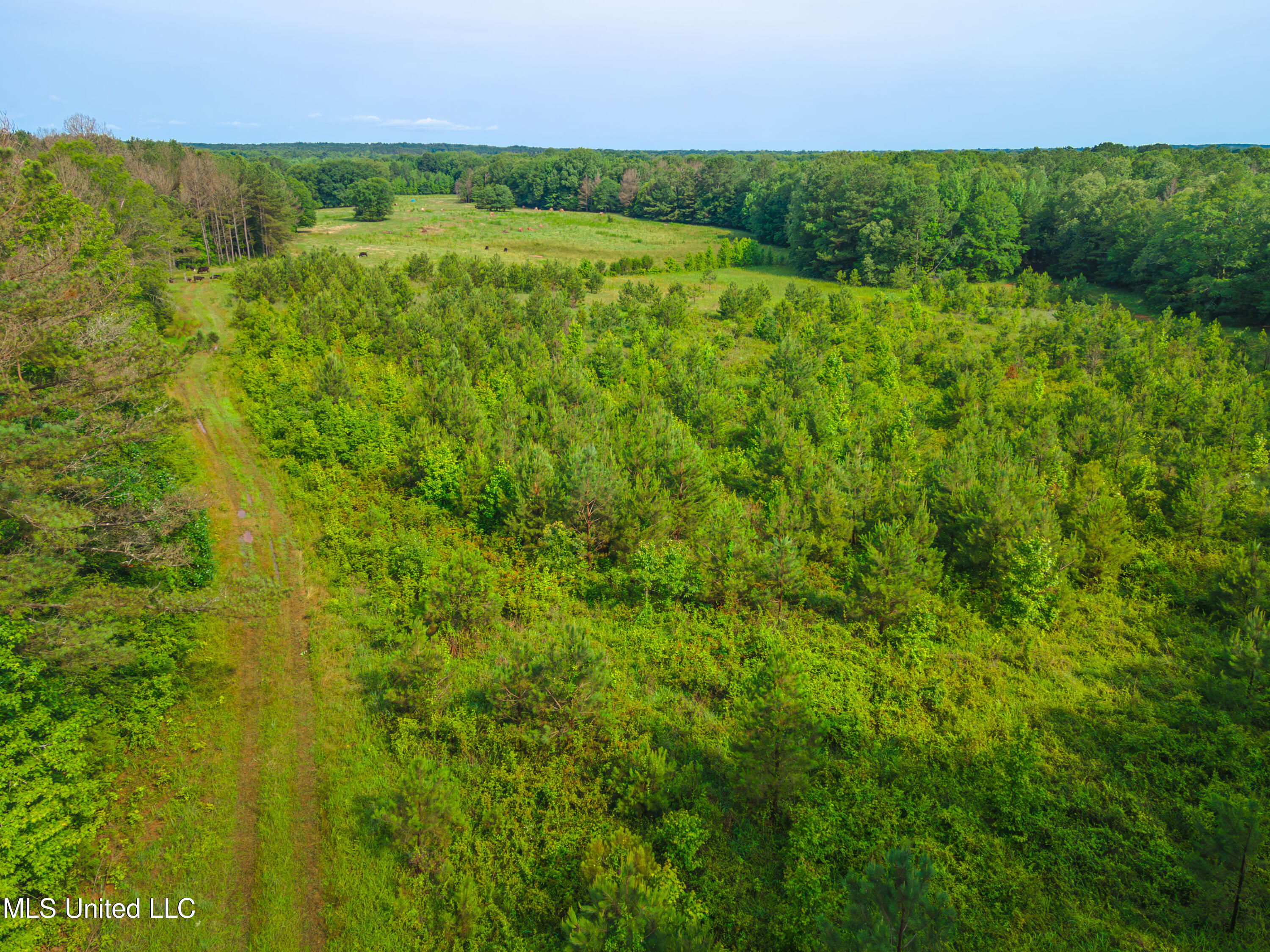 Cooper Road Camden, MS 39045 - Photo 10 of 29 DJI_0825-Enhanced-NR
