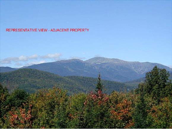 Lower Highlands Road Jackson, NH 03846 - Photo 1 of 1