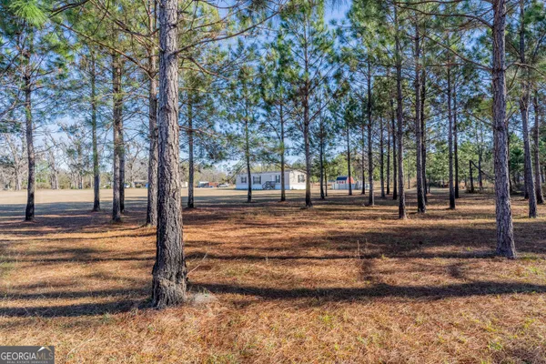 a view of yard with tree s