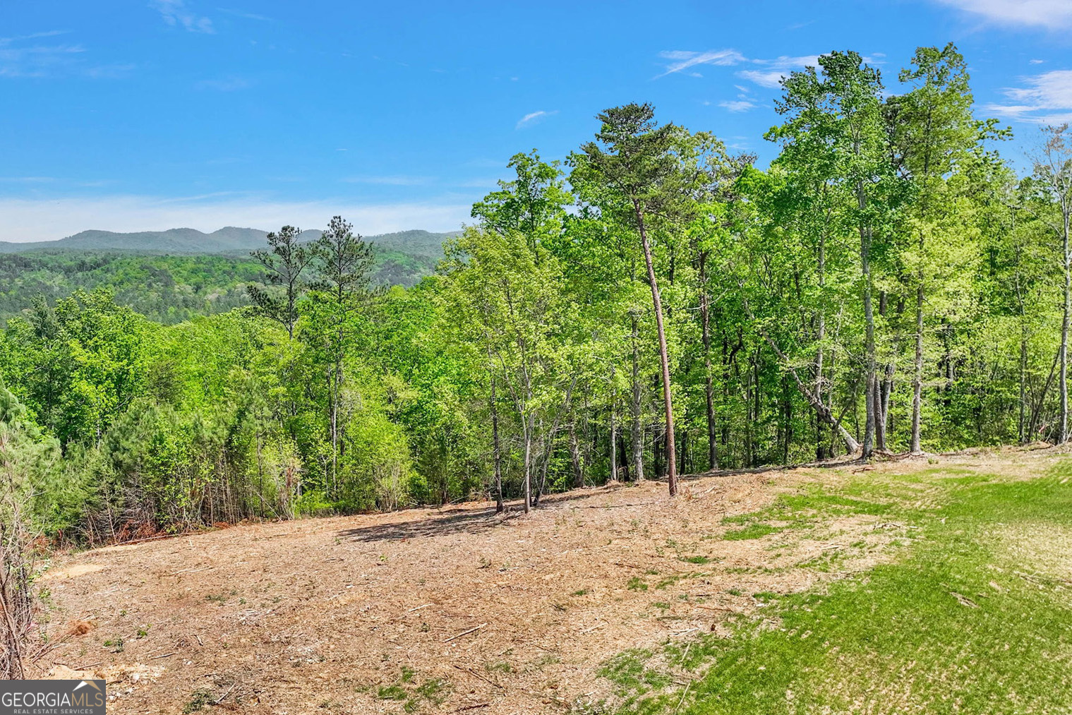 a view of a field with trees in the background