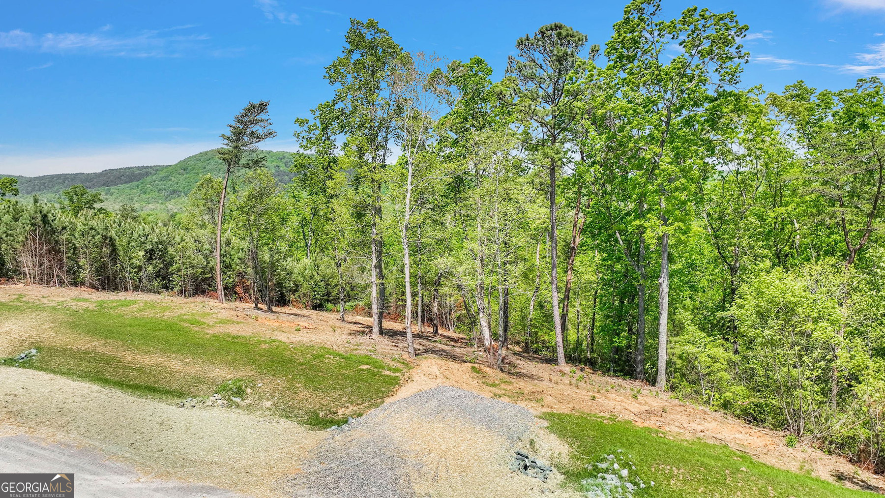 655 Lookout Valley Trail Talking Rock, GA 30175 - Photo 2 of 8 a view of a yard with a tree