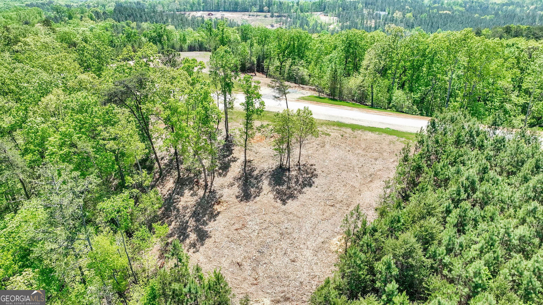 655 Lookout Valley Trail Talking Rock, GA 30175 - Photo 4 of 8 a view of a yard with plants and large trees