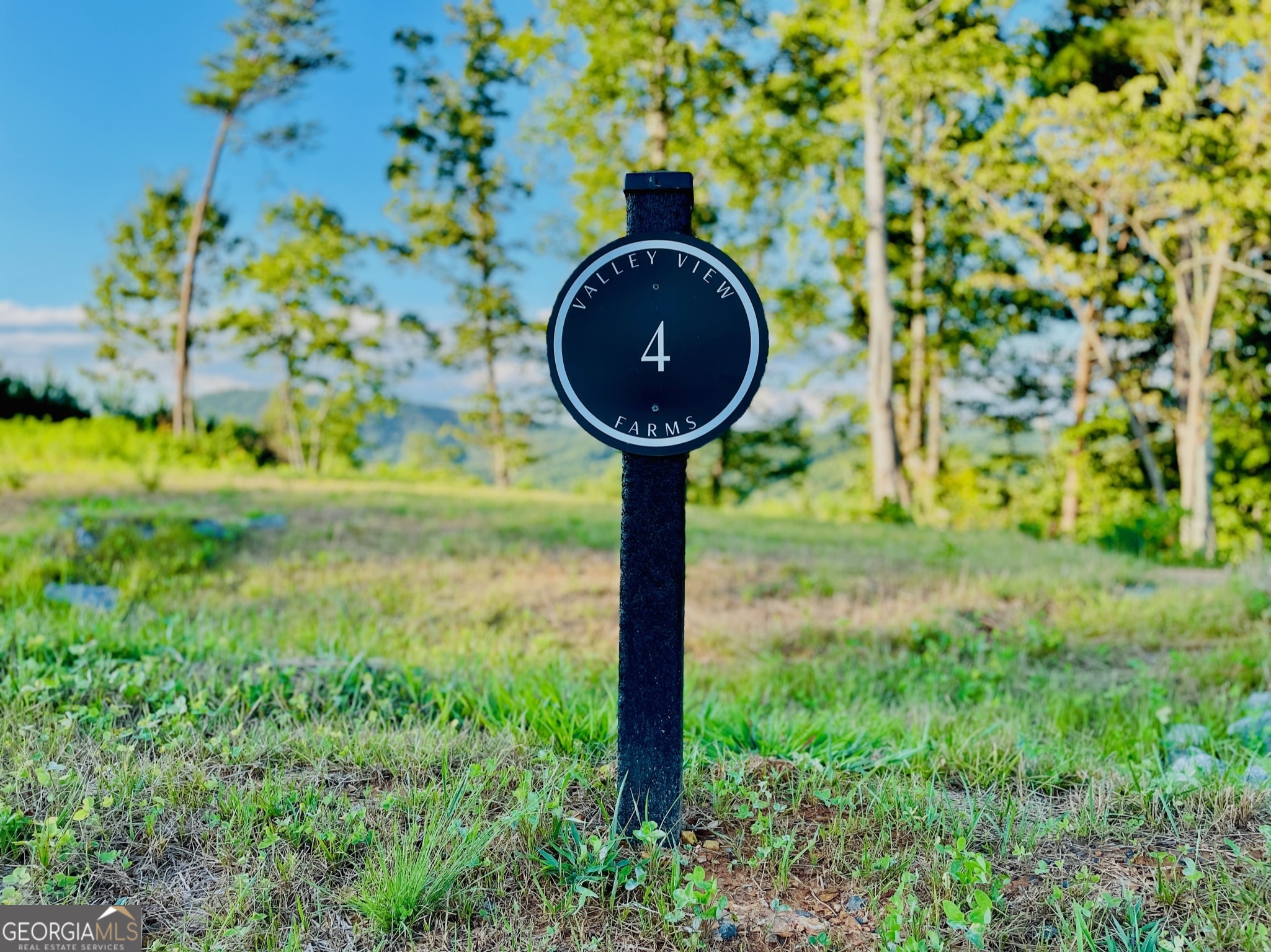 655 Lookout Valley Trail Talking Rock, GA 30175 - Photo 6 of 8 a front view of a garden with plants