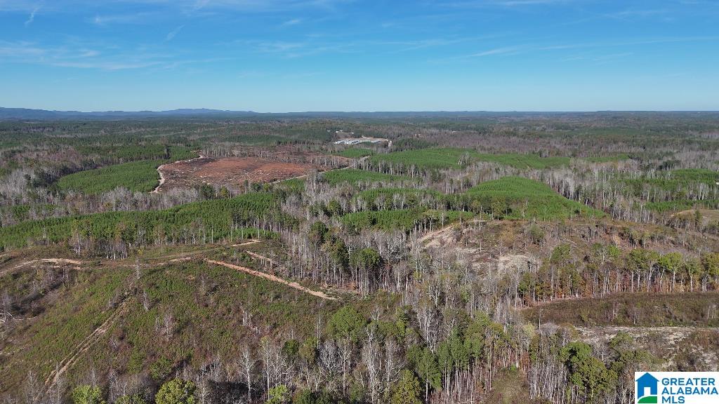 0 County Road 65 Fruithurst, AL 36262 - Photo 8 of 14