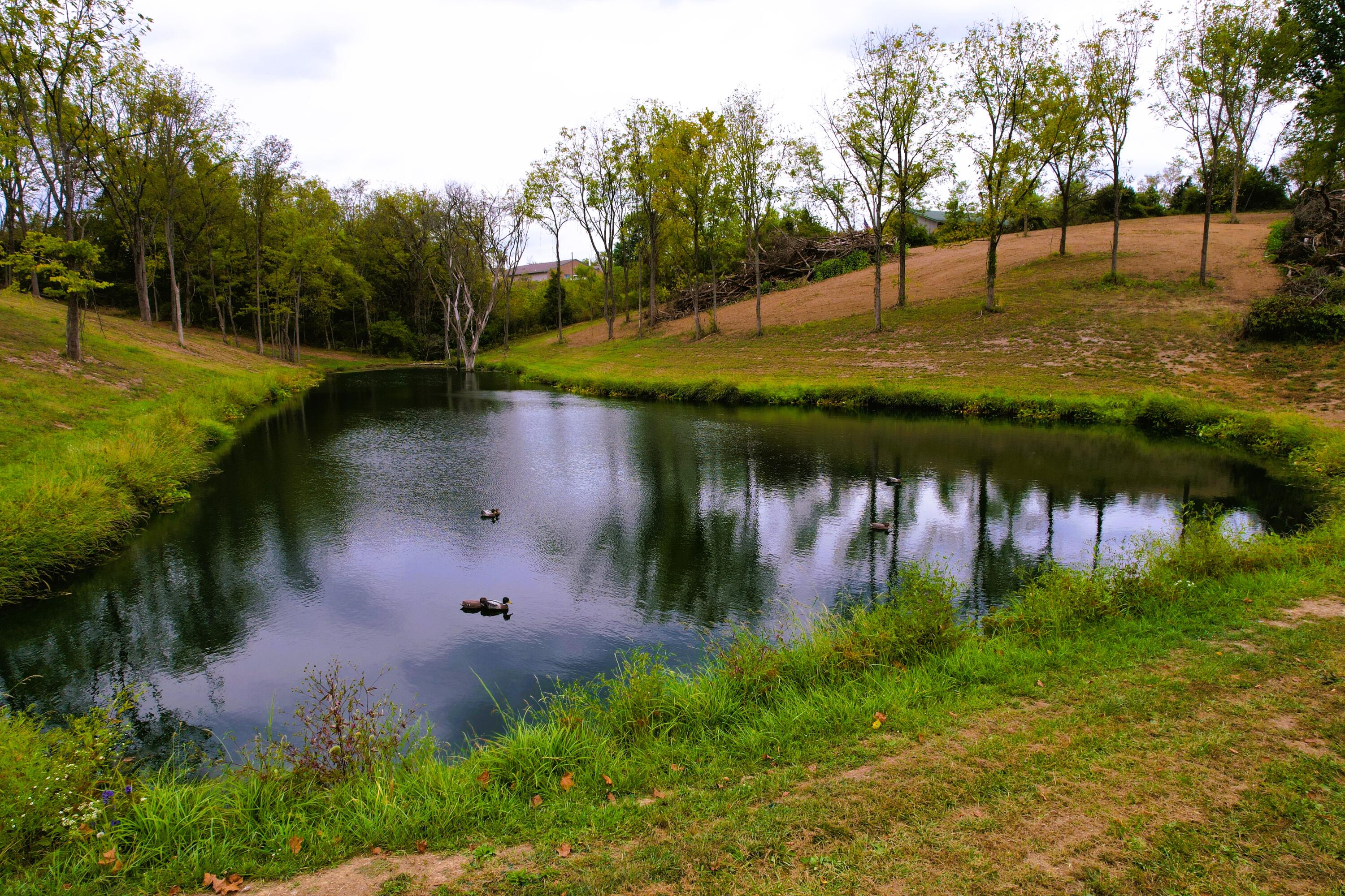 270 Meeks Road Dry Ridge, KY 41035 - Photo 1 of 49