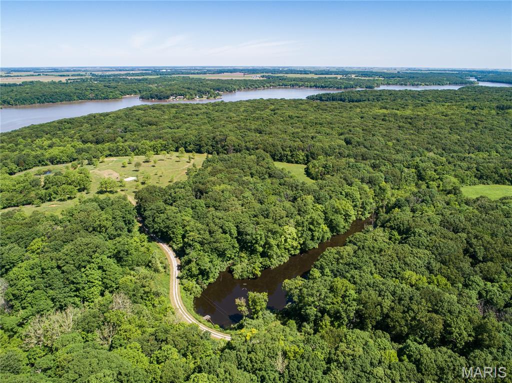 Tbd Rainmaker Trail Butler, IL 62015 - Photo 3 of 16
