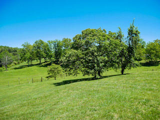 3514 George Light Road Knoxville, TN 37931 - Photo 3 of 13 8c76160a39d6219b1b960d96685719f0