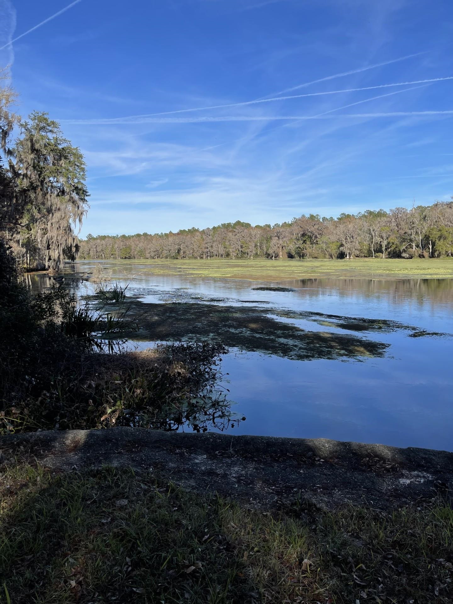 85 St Marks Rise Road Crawfordville, FL 32327 - Photo 11 of 31