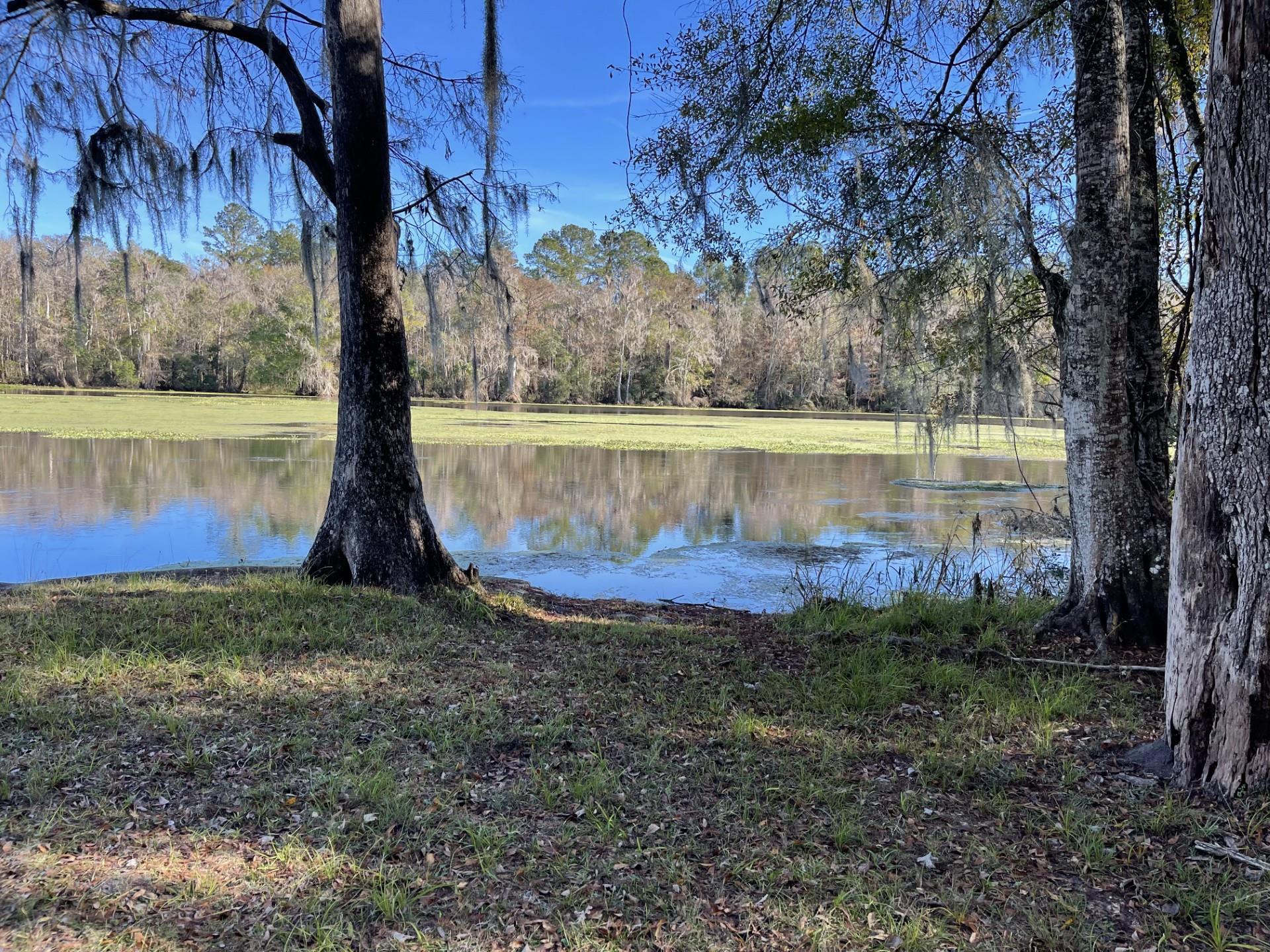 85 St Marks Rise Road Crawfordville, FL 32327 - Photo 13 of 31