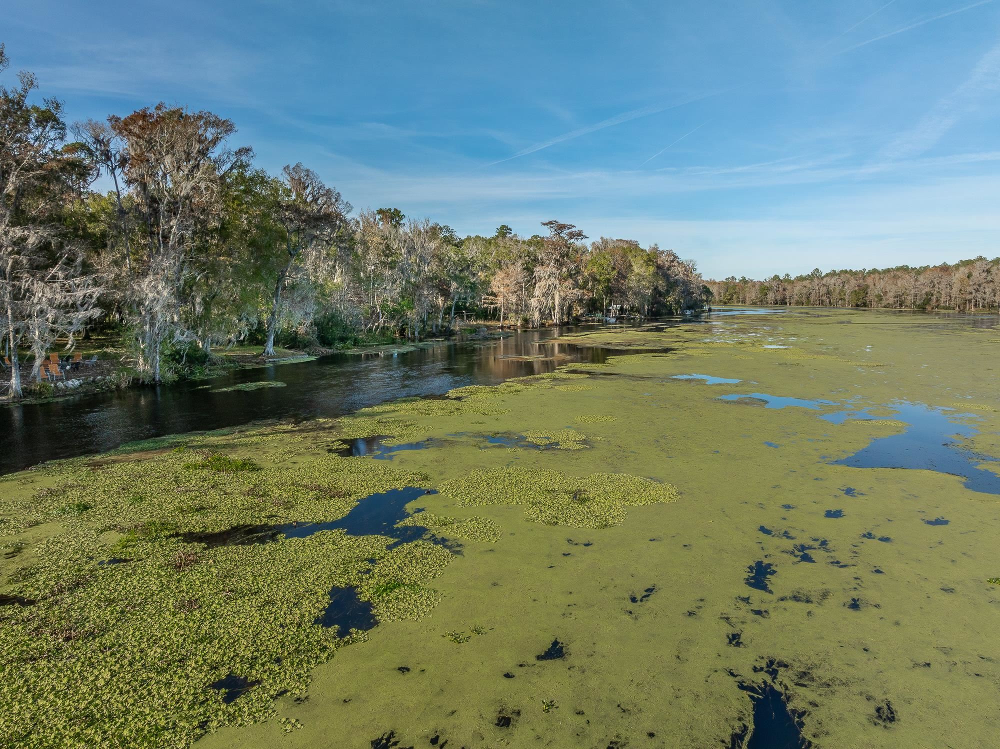85 St Marks Rise Road Crawfordville, FL 32327 - Photo 14 of 31