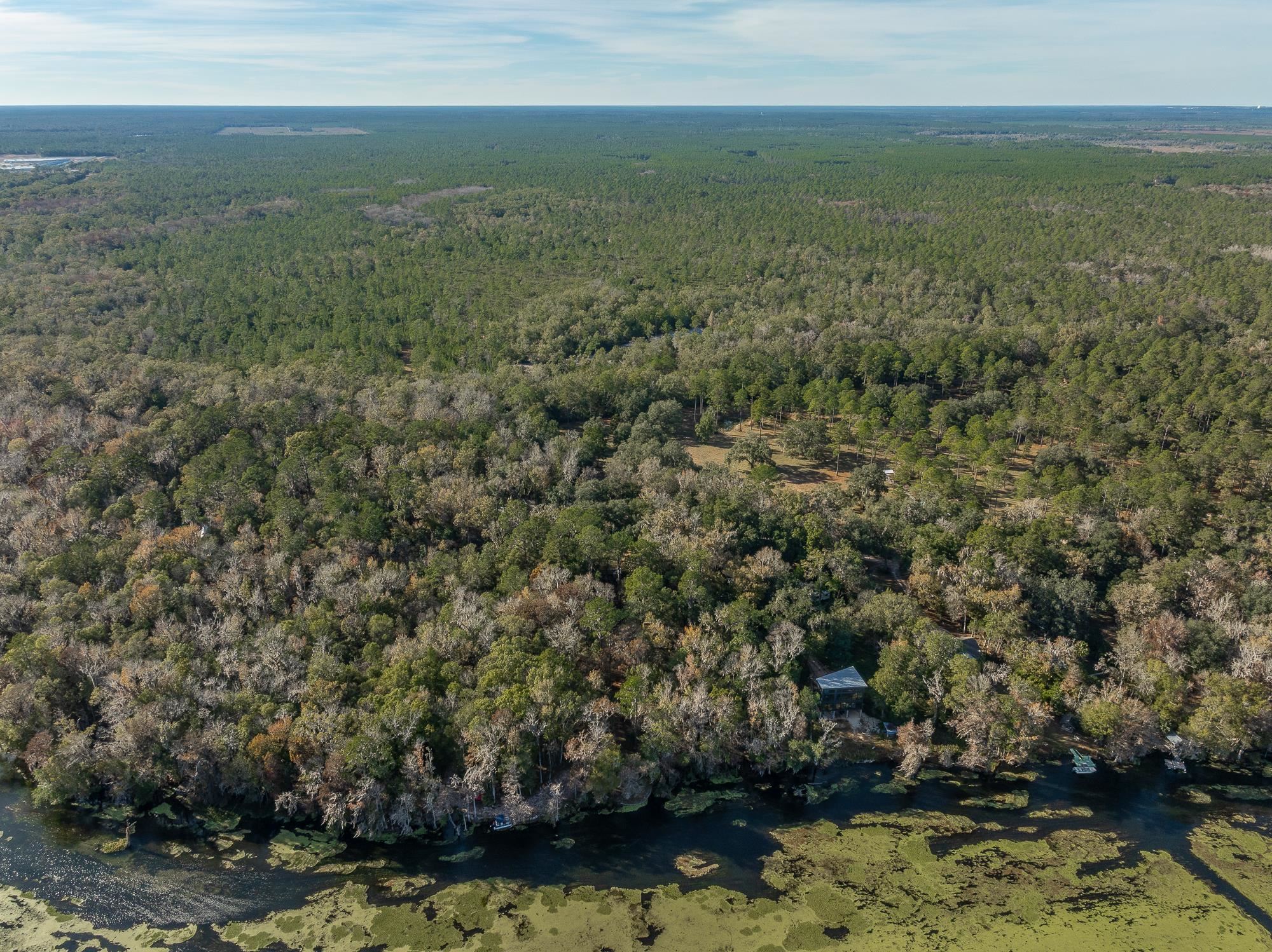 85 St Marks Rise Road Crawfordville, FL 32327 - Photo 18 of 31