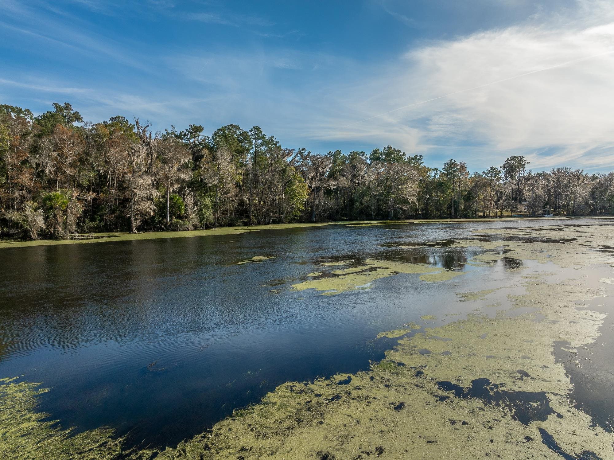 85 St Marks Rise Road Crawfordville, FL 32327 - Photo 22 of 31