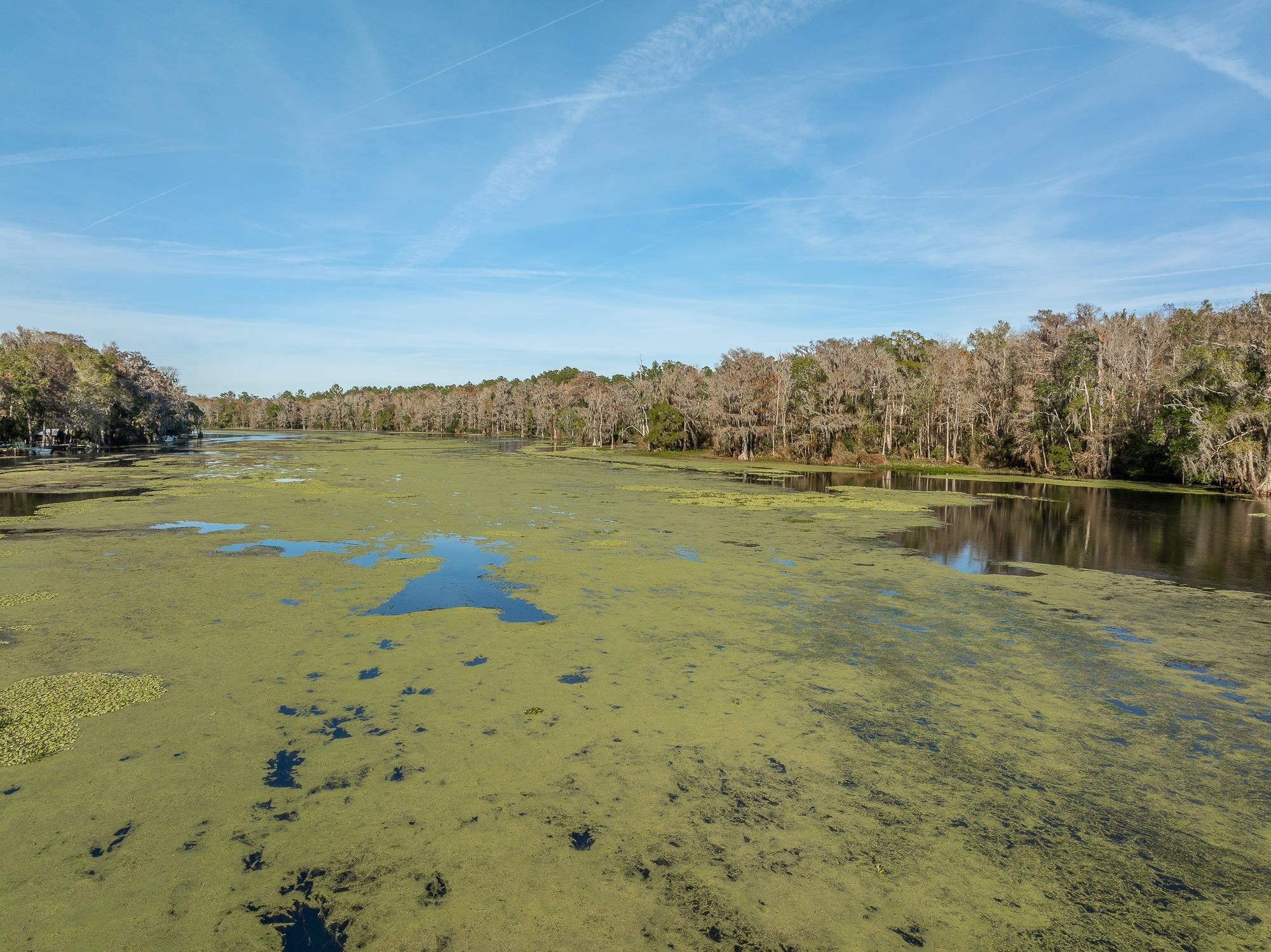 85 St Marks Rise Road Crawfordville, FL 32327 - Photo 23 of 31
