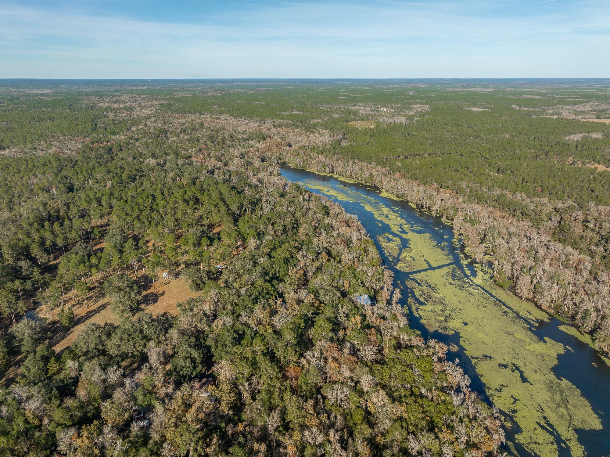 85 St Marks Rise Road Crawfordville, FL 32327 - Photo 30 of 31