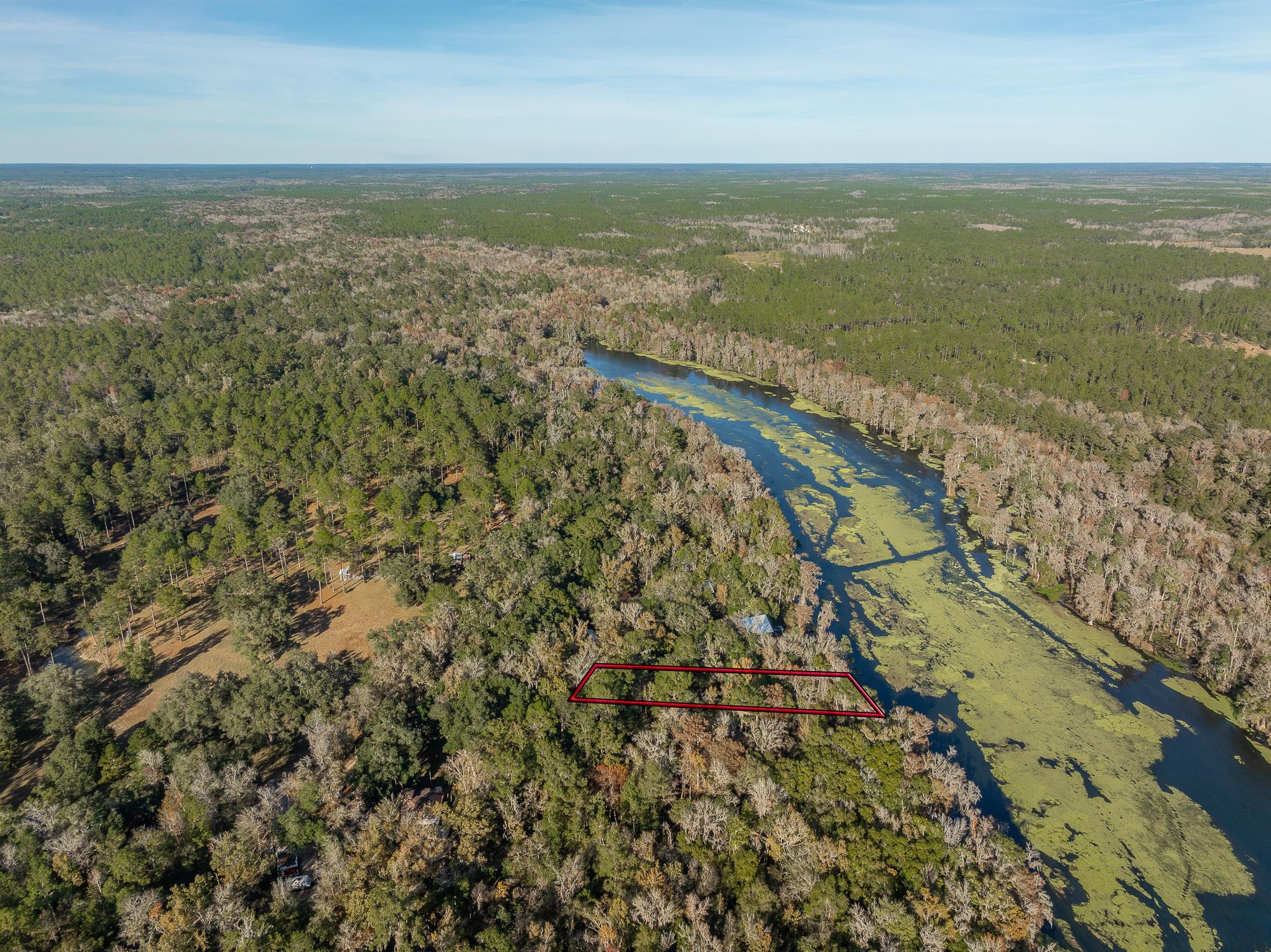 85 St Marks Rise Road Crawfordville, FL 32327 - Photo 31 of 31