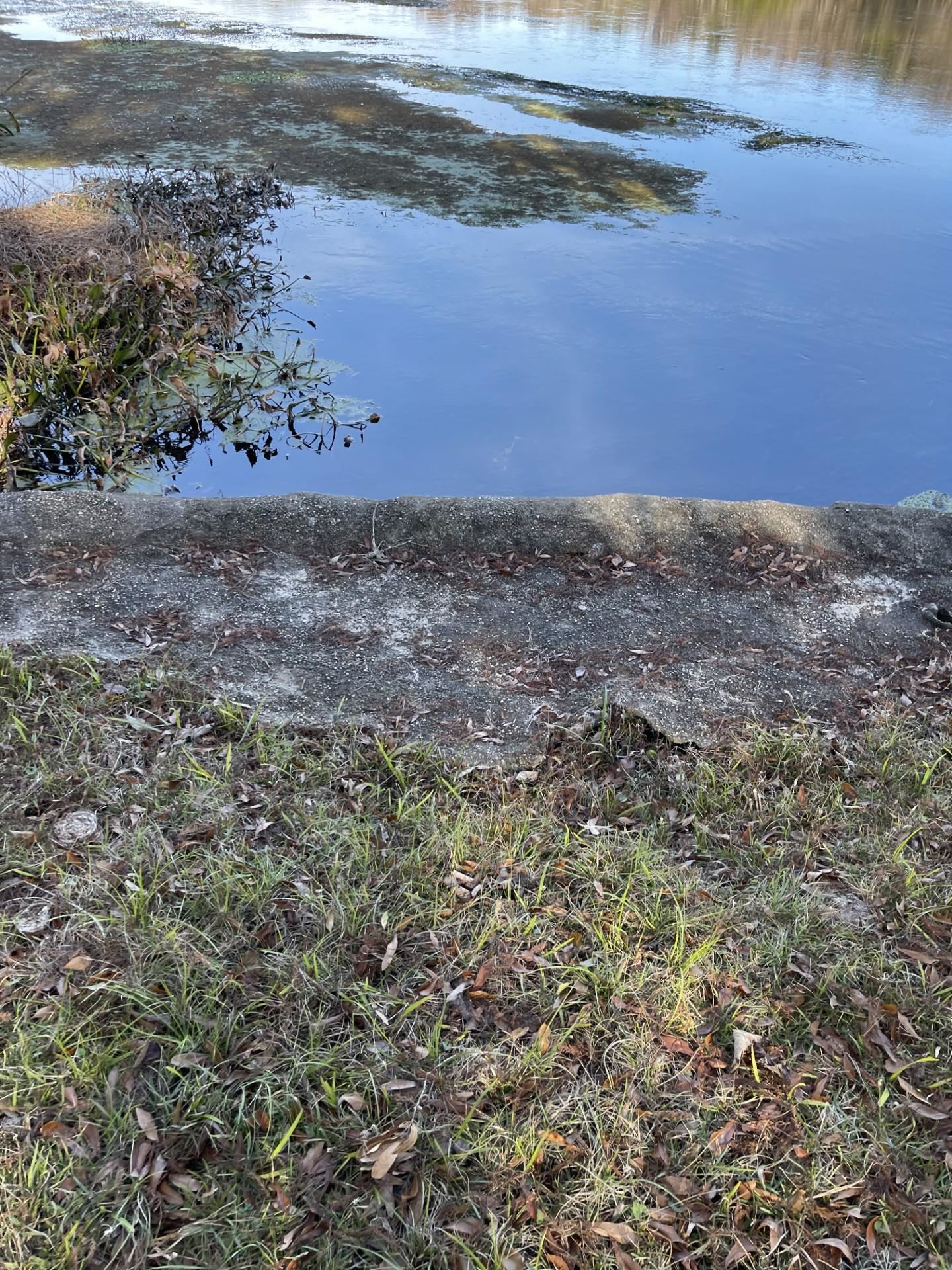 85 St Marks Rise Road Crawfordville, FL 32327 - Photo 5 of 31