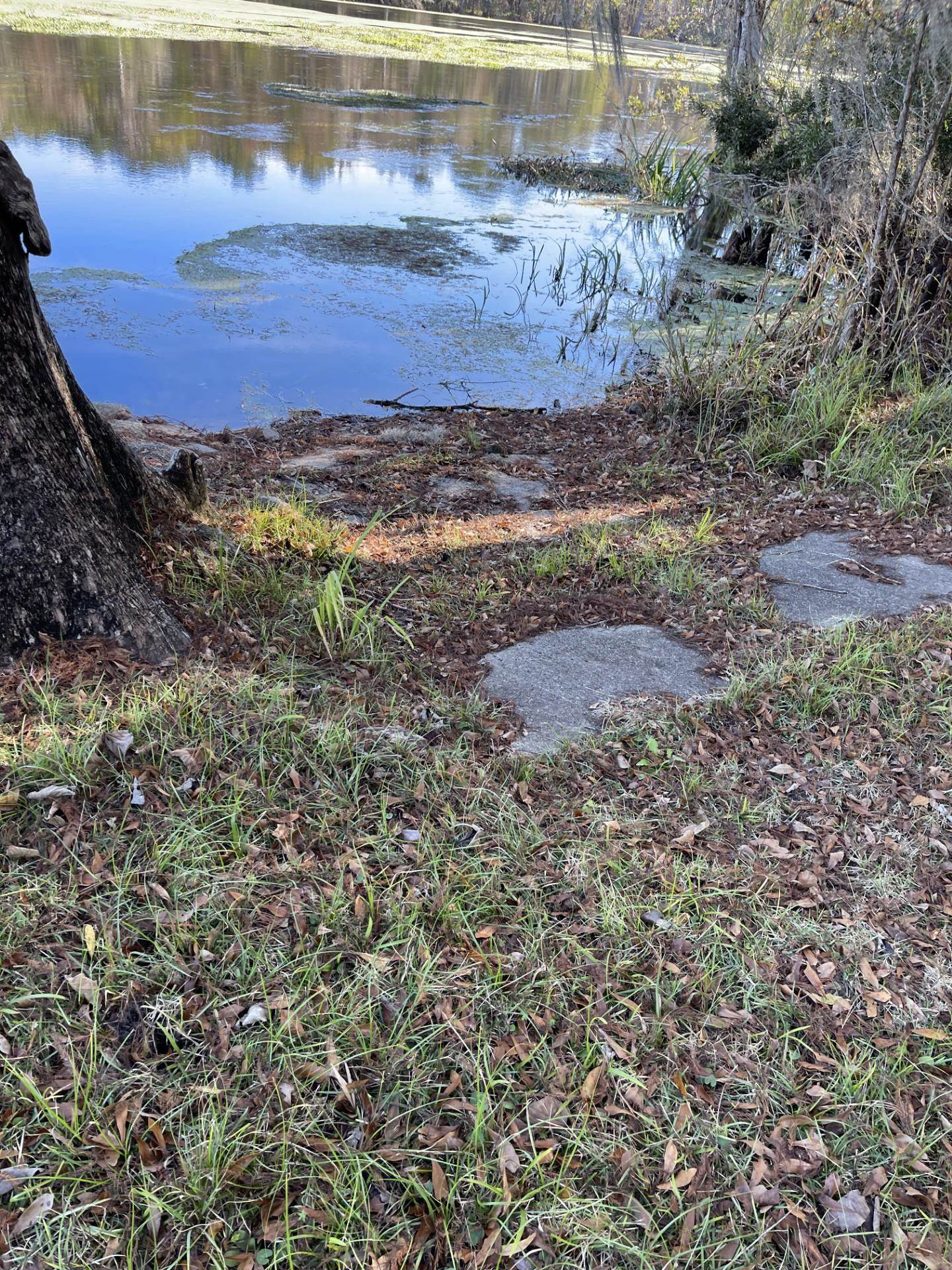 85 St Marks Rise Road Crawfordville, FL 32327 - Photo 7 of 31