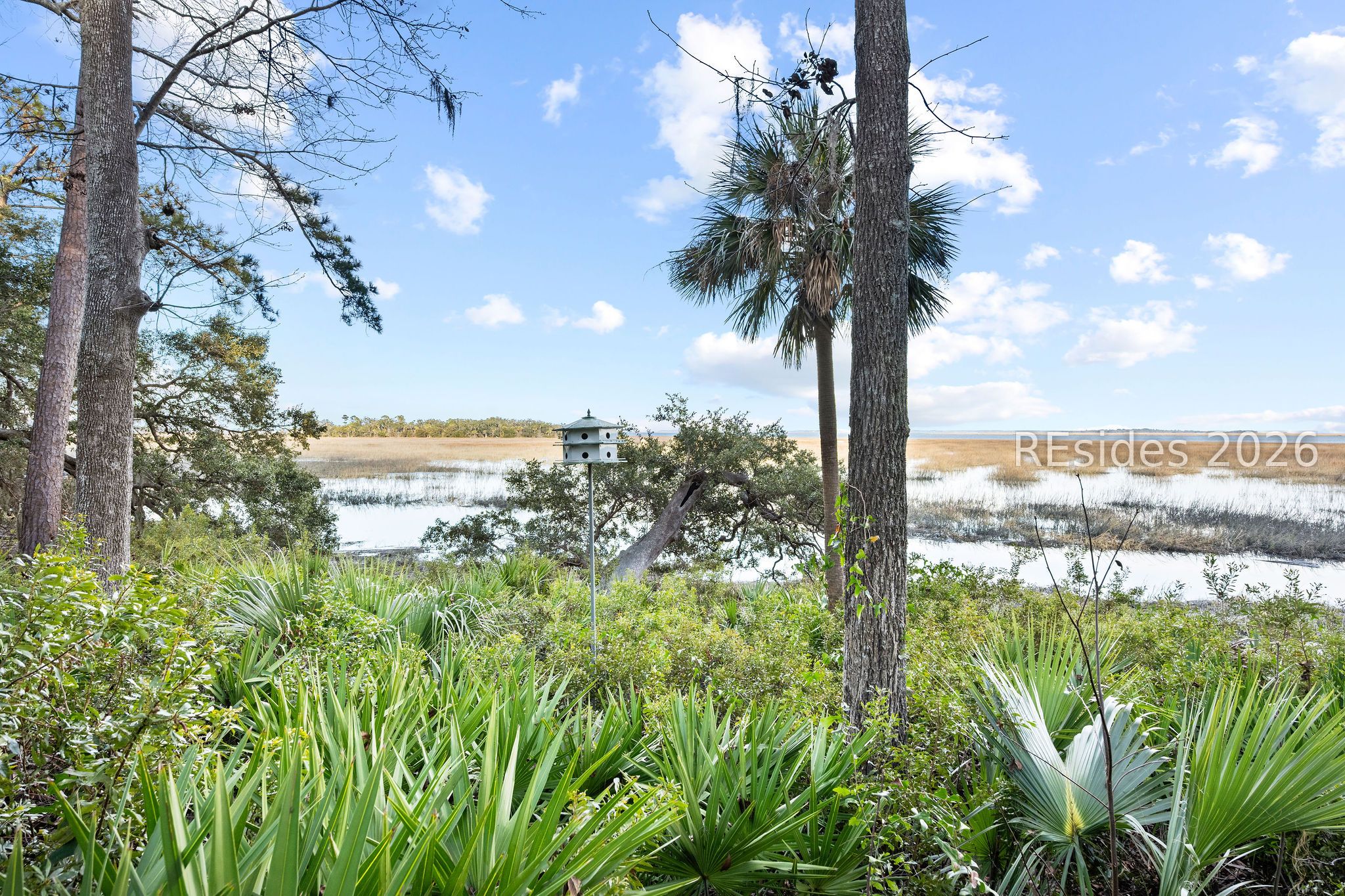 248 Spring Island Drive Okatie, SC 29909 - Photo 20 of 86