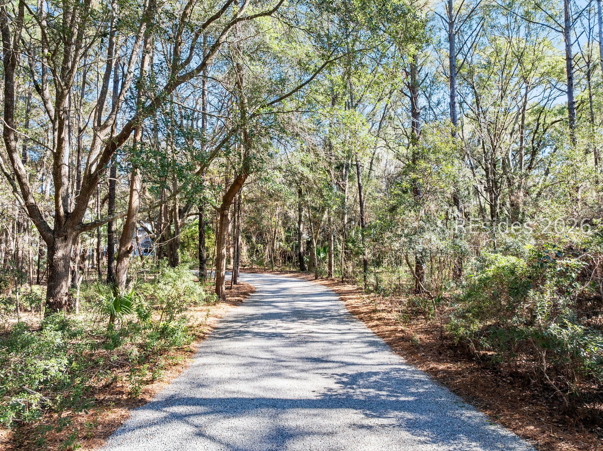 248 Spring Island Drive Okatie, SC 29909 - Photo 76 of 86