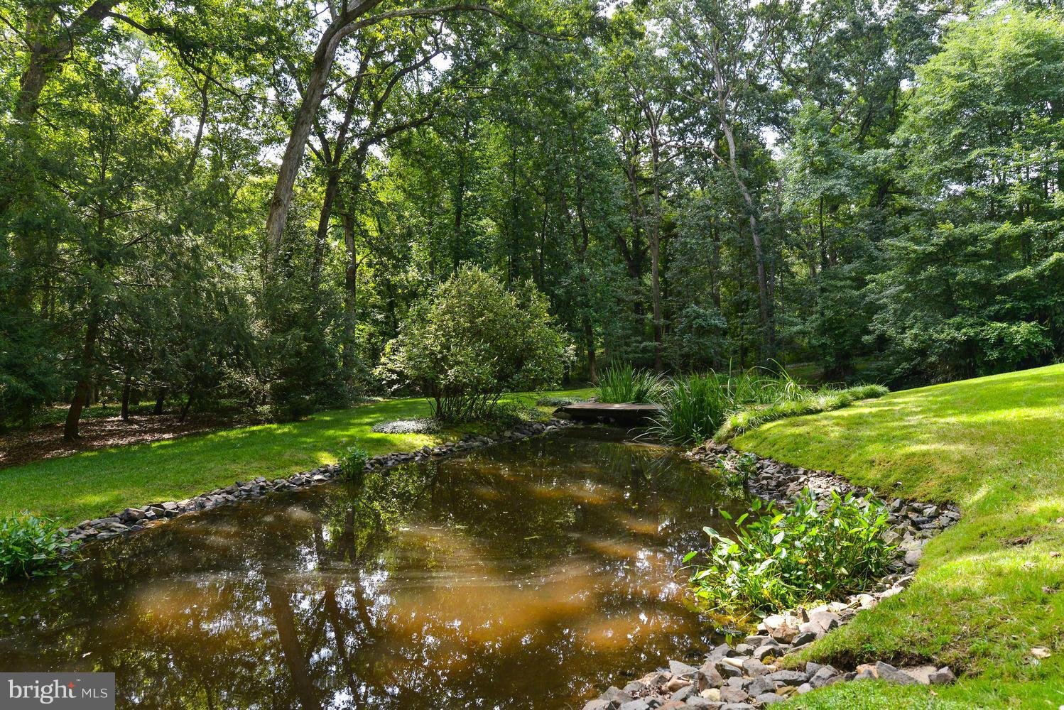7512 Fort Hunt Road Alexandria, VA 22307 - Photo 15 of 16 Delightful Pond