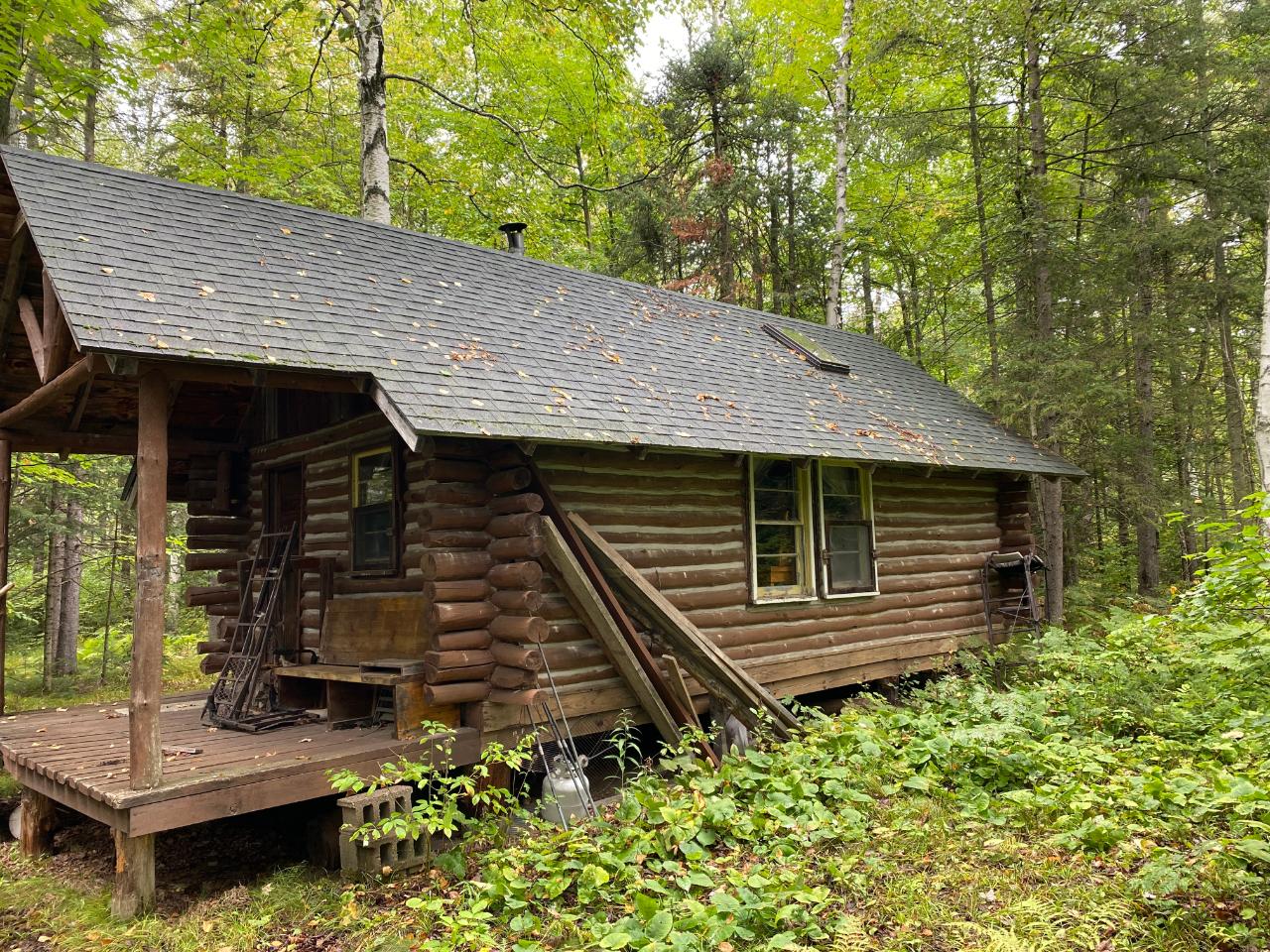 Off Coffee Creek Road Tomahawk, WI 54487 - Photo 8 of 50 Gallery Image 8