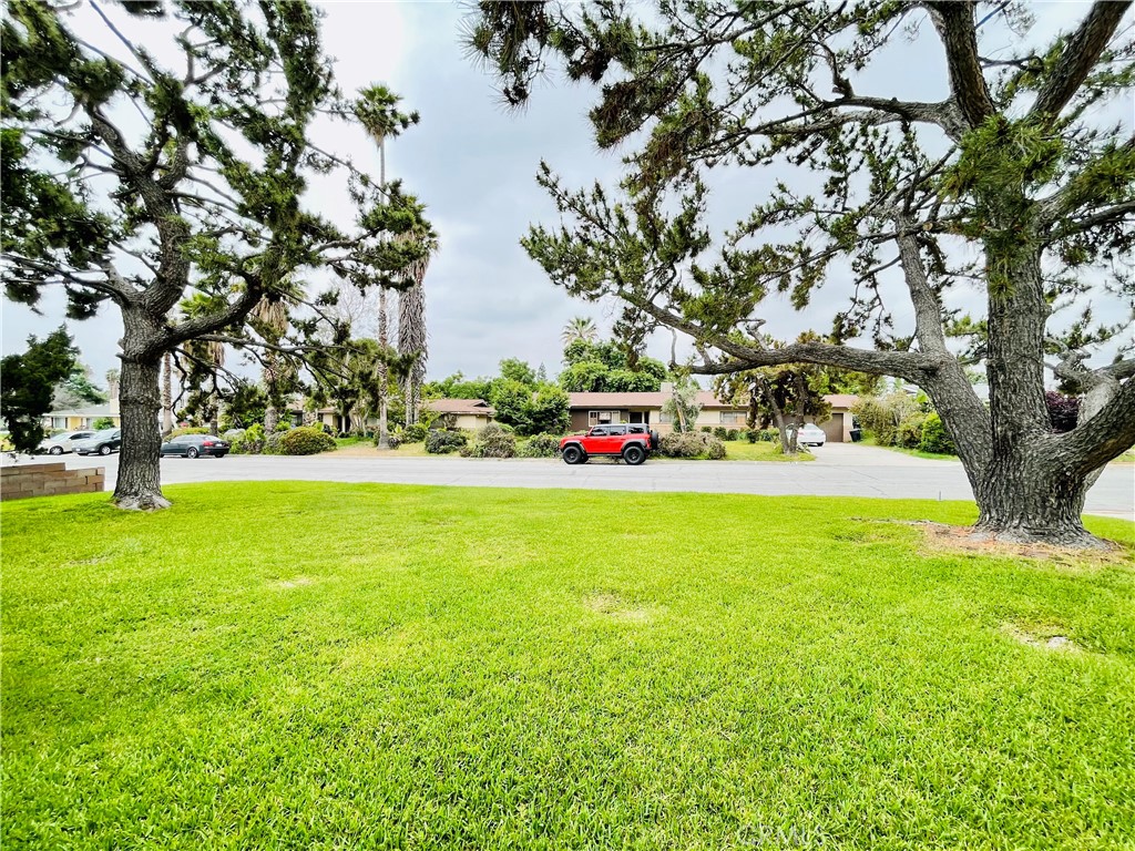 5875 Olive Avenue Rialto, CA 92377 - Photo 12 of 54 a view of outdoor space with garden and trees